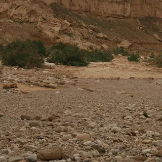 שיטפון בנחל צין. צילום ארכיון
